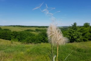 Трахтемирів